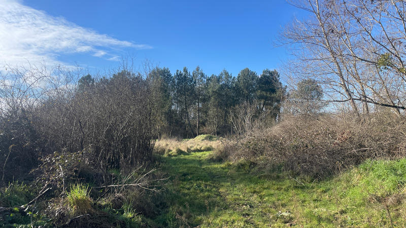 Terrain - 11 581 m²