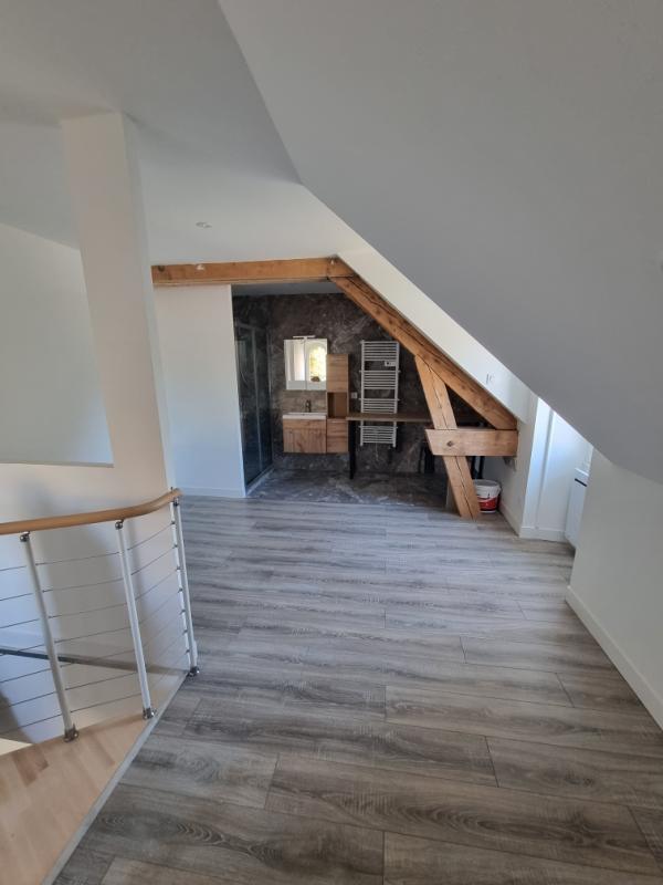 Duplex - 46 m² - 2 pièces