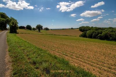 Terrain - 14 290 m²