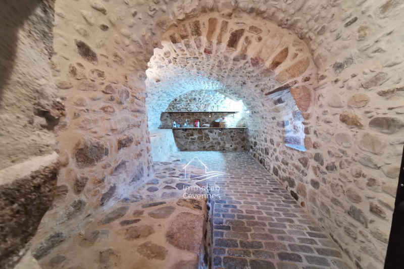 Propriété - 460 m² - 10 pièces