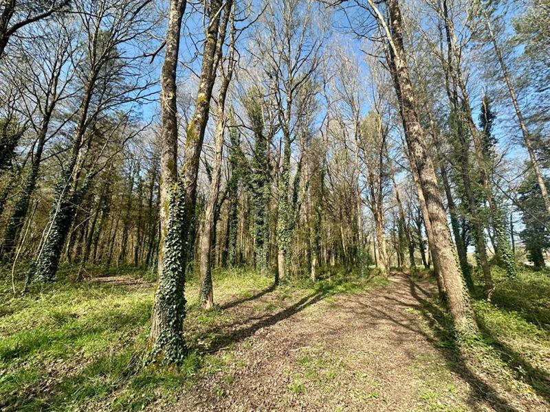 Maison - 109 m² - 4 pièces