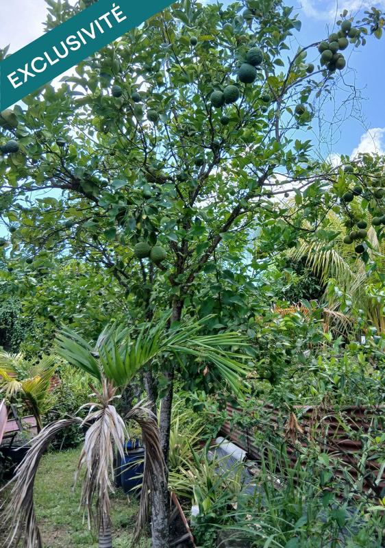 Maison - 135 m² - 11 pièces