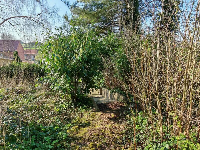 Maison - 187 m² - 5 pièces