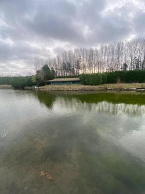 Terrain de loisirs - 7 248 m²