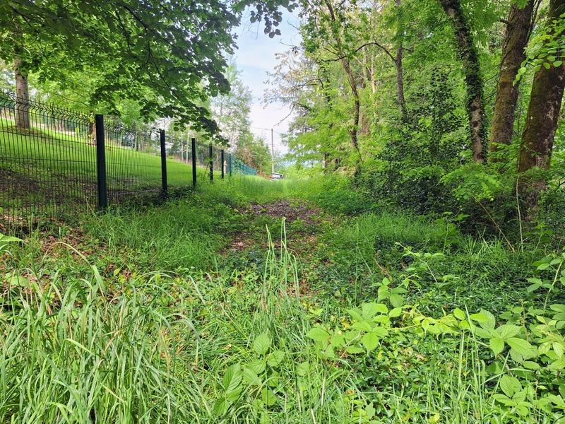 Terrain constructible - 1 277 m²