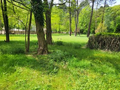 Terrain constructible - 3 500 m²