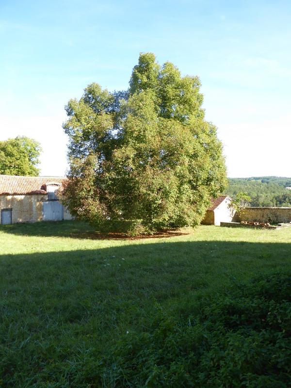 Château - 537 m² - 14 pièces