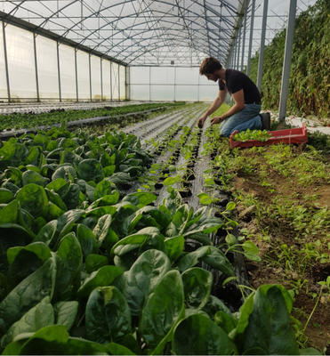 Ferme du Loup Ravissant