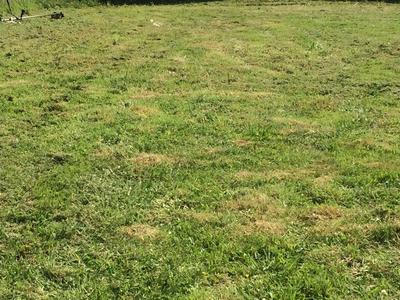 Terrain constructible - 604 m²