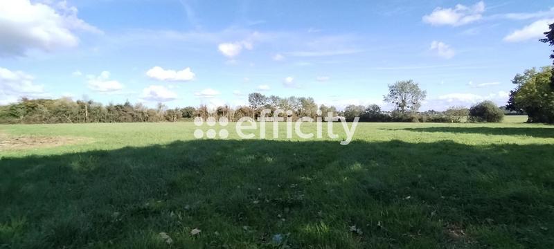 Maison - 160 m² - 8 pièces