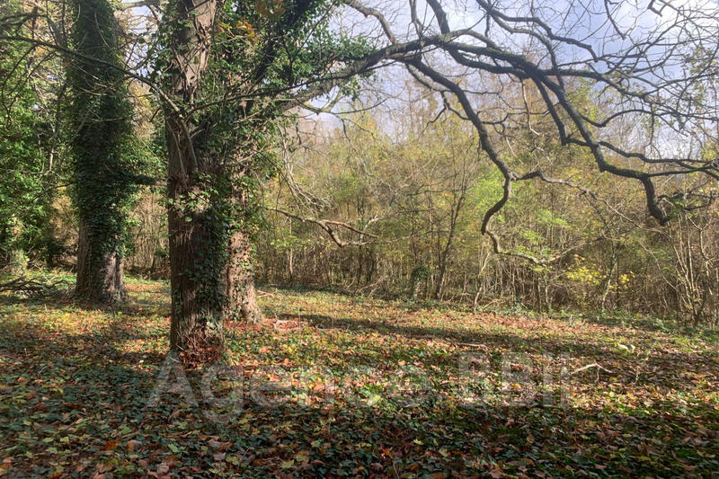 Maison en pierre - 194 m² - 3 pièces