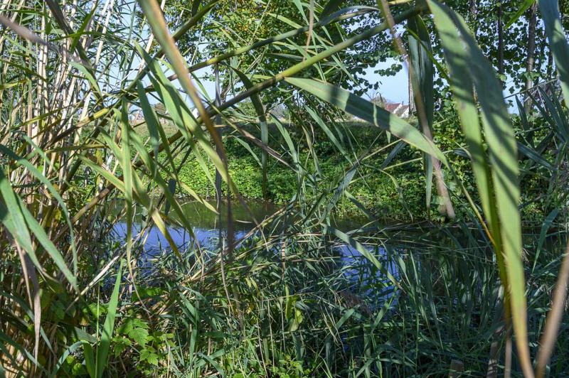 Maison - 305 m² - 7 pièces