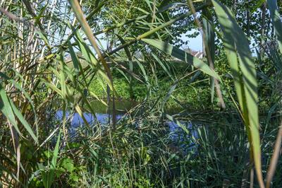 Maison - 305 m² - 7 pièces