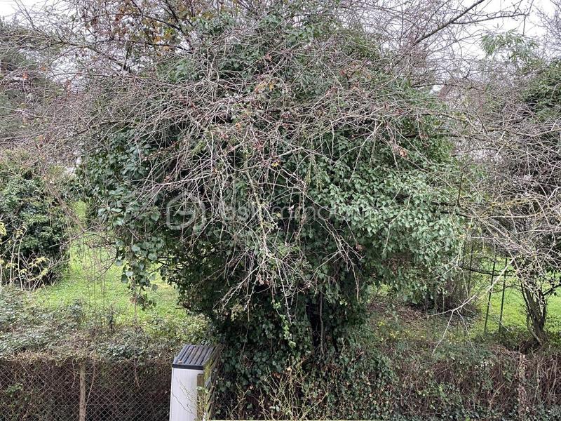 Duplex - 54 m² - 2 pièces