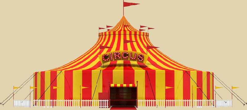 Sortie au cirque Arlette Gruss