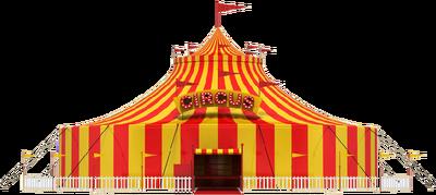 Sortie au cirque Arlette Gruss