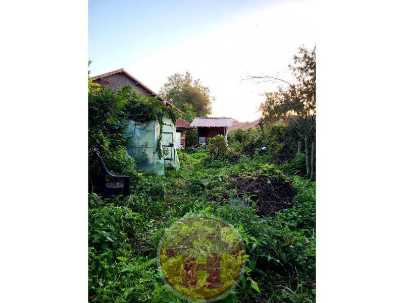 Appartement - 18 m² - 1 pièce