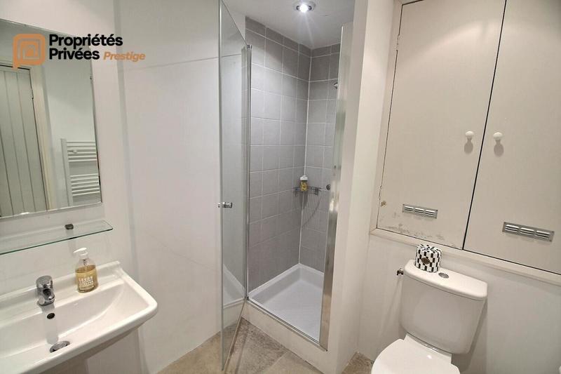 Hôtel particulier - 320 m² - 10 pièces