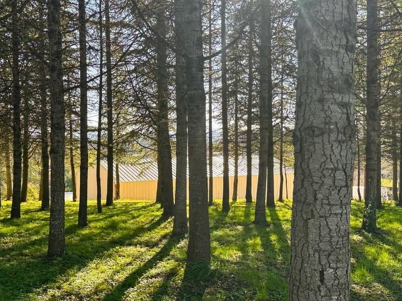 Local d'activité / Entrepôt - 240 m² - 1 pièce