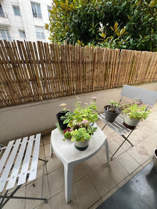 Appartement - 36 m² - 2 pièces