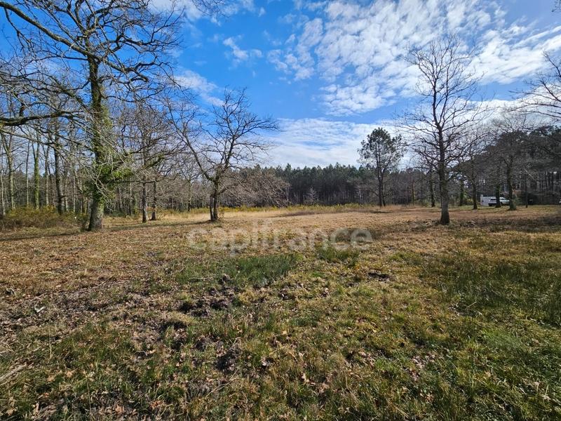 Maison - 214 m² - 7 pièces