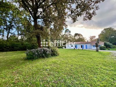 Maison - 165 m² - 6 pièces