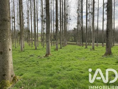 Terrain - 13 447 m²