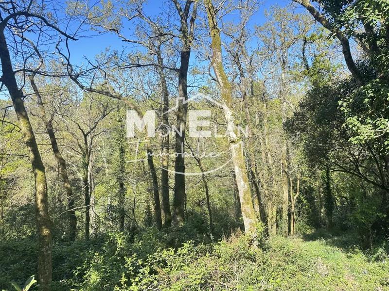 Propriété - 213 m² - 8 pièces