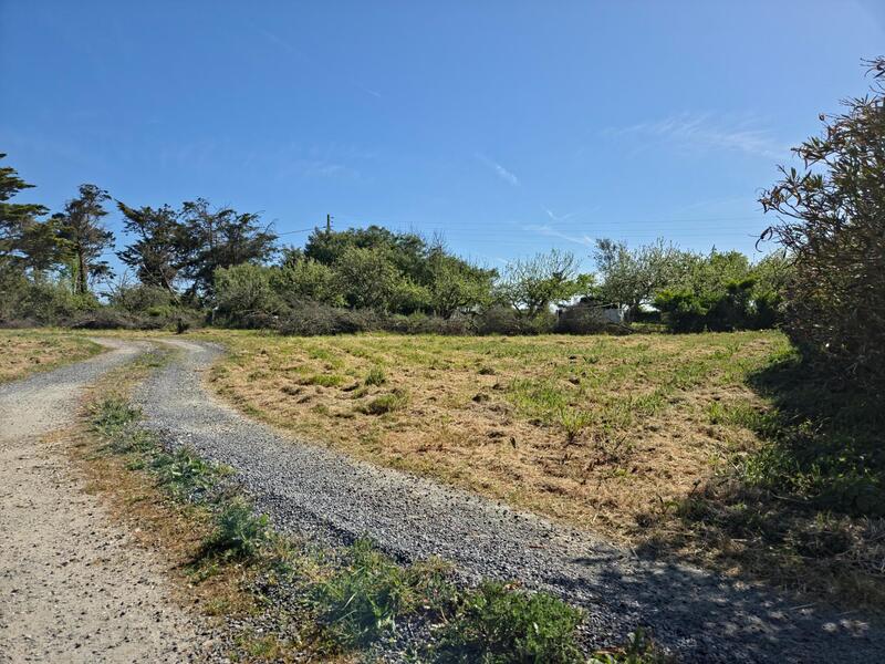 Terrain - 2 258 m²