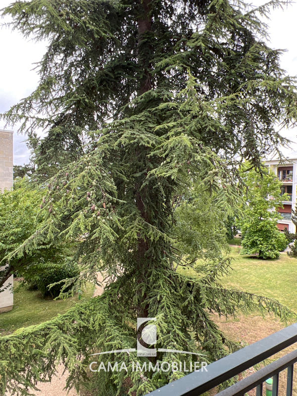 Appartement - 139 m² - 6 pièces