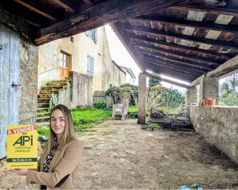 Maison en pierre - 66 m² - 2 pièces