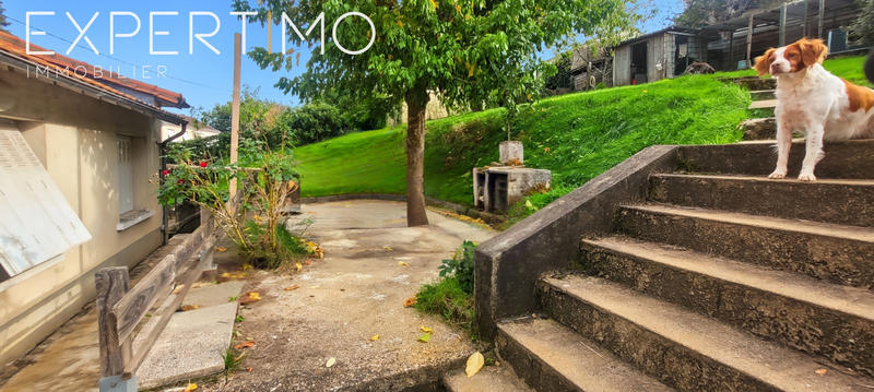 Viager - Maison - 84 m² - 6 pièces