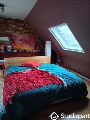 Chambre - 30 m² - 1 pièce