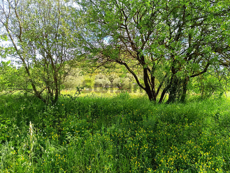 Terrain de loisirs - 3 970 m²