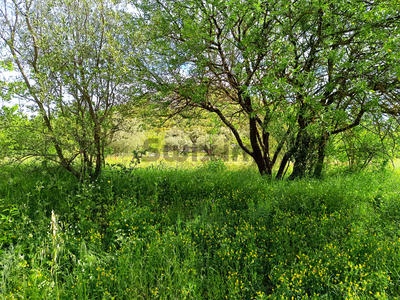 Terrain de loisirs - 3 970 m²