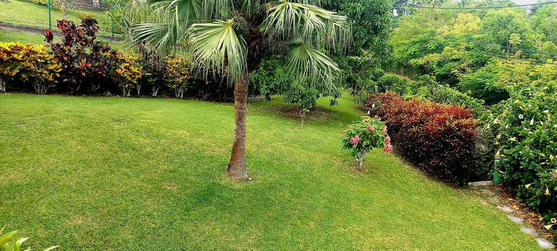 Maison - 291 m² - 7 pièces