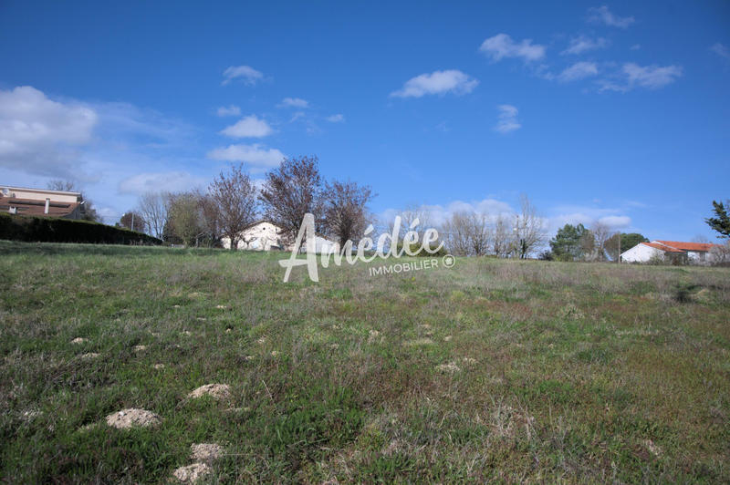 Terrain - 11 647 m²