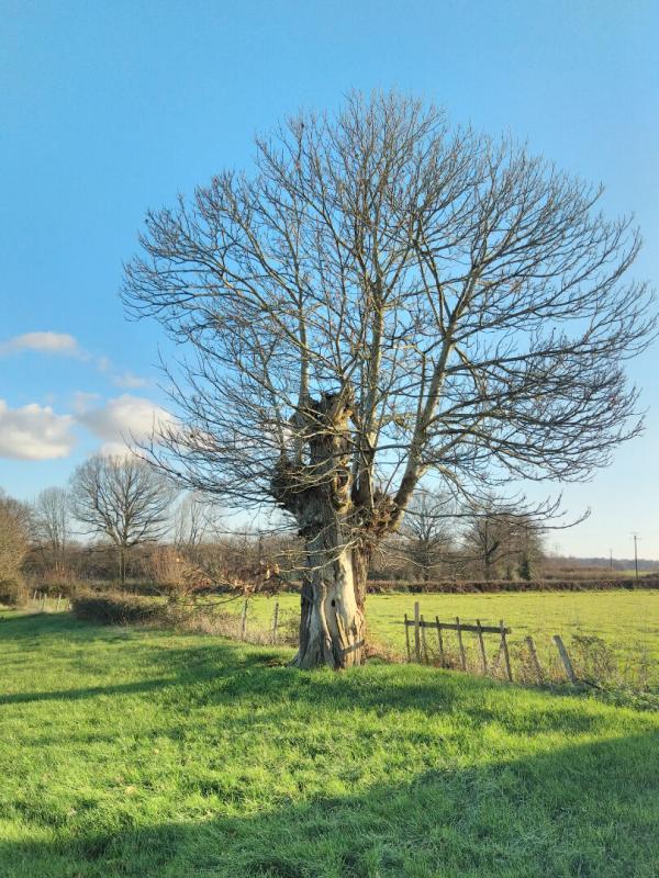 Maison - 84 m² - 3 pièces