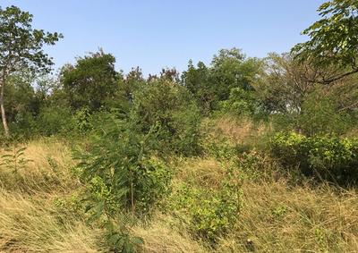 Terrain agricole - 1 549 m²