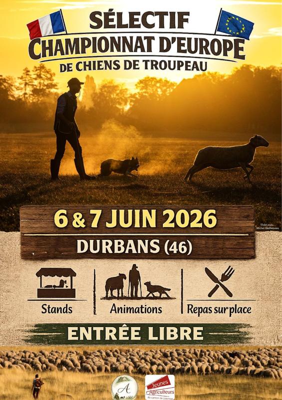 Sélectif, championnat d'Europe de chiens de troupeau, à Durbans