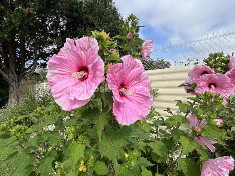 Propriété - 453 m² - 10 pièces