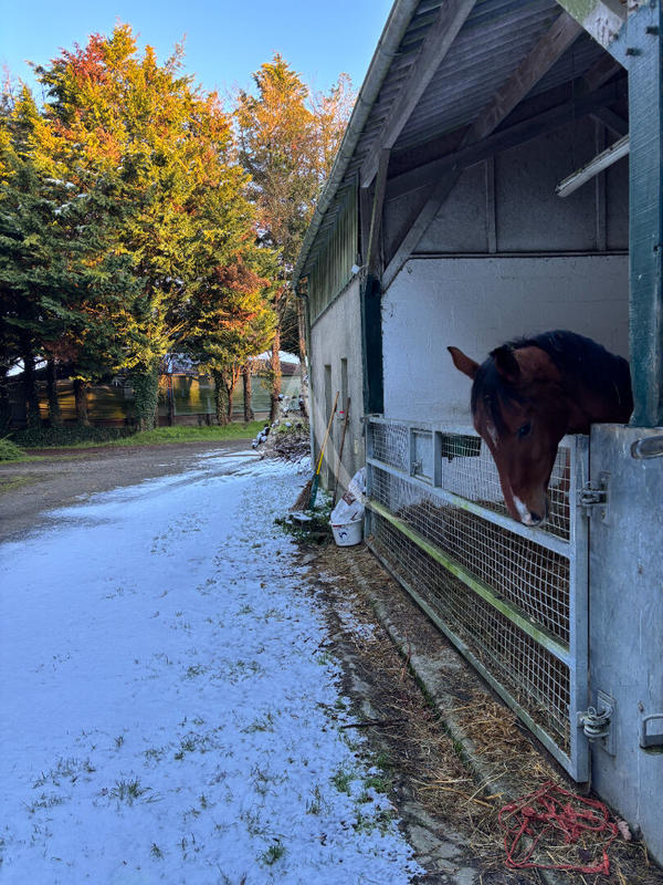 Maison - 168 m² - 5 pièces