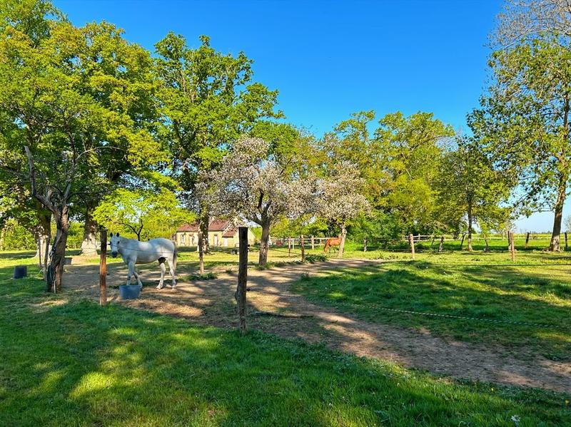 Maison de domaine équestre - 520 m² - 7 pièces