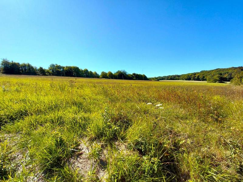 Maison - 250 m² - 7 pièces