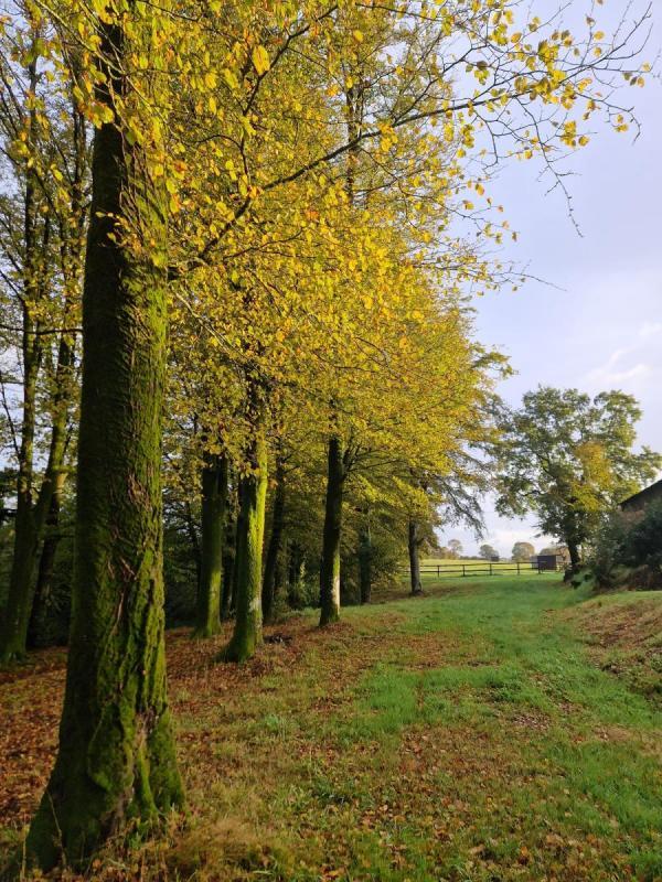 Maison - 147 m² - 5 pièces