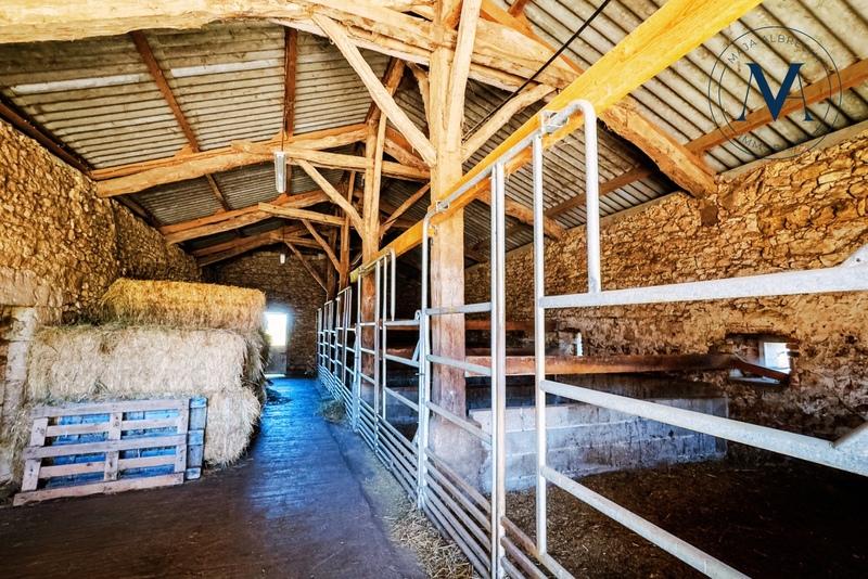 Haras - 340 m² - 6 pièces