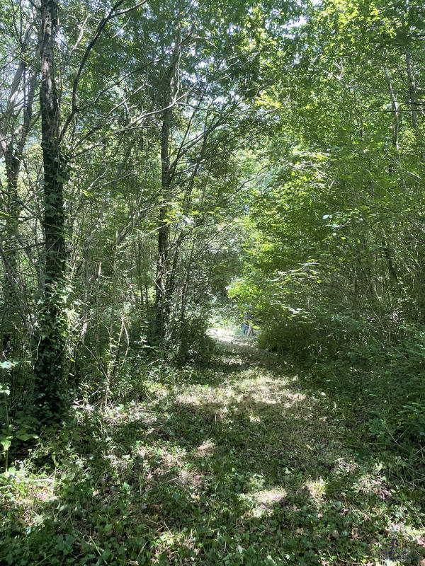 Maison - 190 m² - 7 pièces