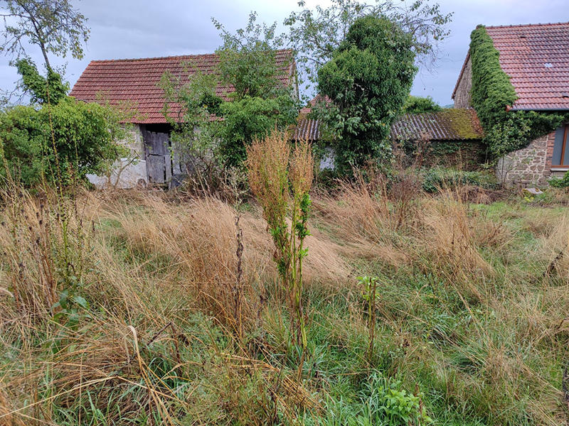 Maison - 60 m² - 4 pièces