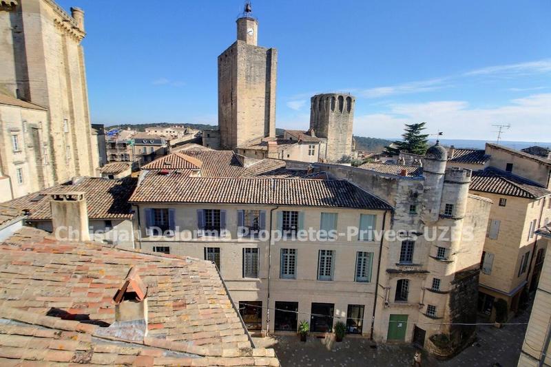 Hôtel particulier - 320 m² - 10 pièces