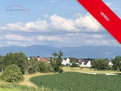 Maison - 302 m² - 10 pièces